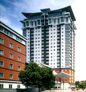 PSlide7